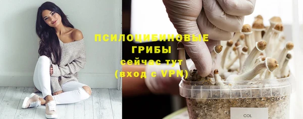 мяу мяу кристалл Липки