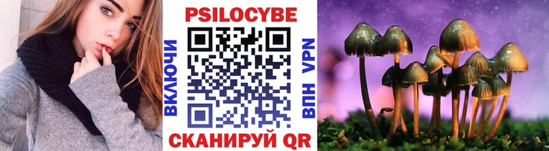 Купить где  Куртамыш  Псилоцибиновые грибы Psilocybine cubensis 